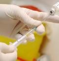 Каждый четвертый житель Архангельской области привит от гриппа 