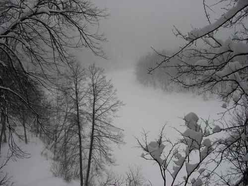 Архангельскую область накроют снегопады и метели