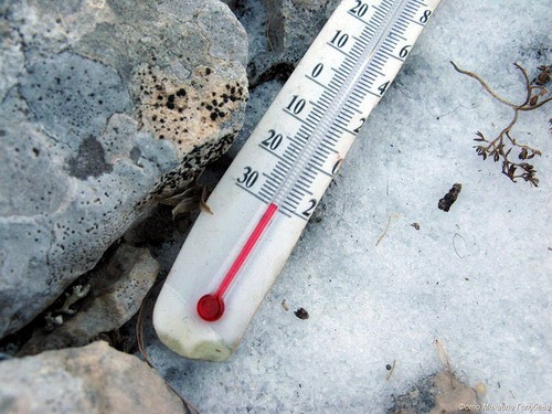 В Архангельской области с 24 февраля начнут ослабевать морозы