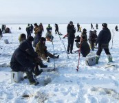 Улов команды, победившей в рыбацком турнире в Северодвинске, составил более 6 кг
