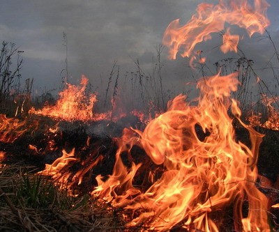 В Котласском районе из-за поджога сухой травы сгорело семь домов и четыре бани