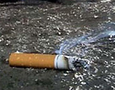 В Архангельске состоится суд над сигаретой 