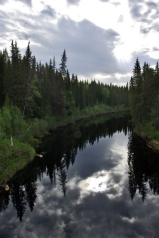 Архангельская область предложила внести поправки в экологическое законодательство России
