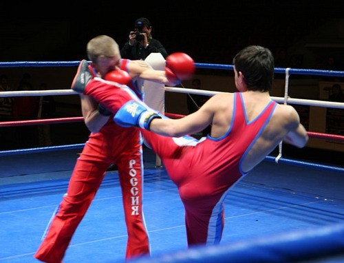 Архангельские спортсмены стали призерами чемпионата мира по французскому боксу «сават»