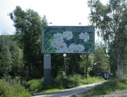 Архангельск становится зеленее.