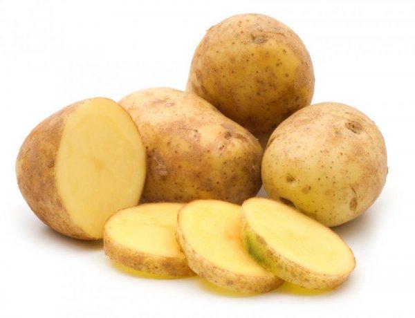 Универсальный сорт картофеля Гала: урожайность, неприхотливость и другие достоинства