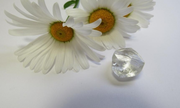 В Архангельской области нашли крупный алмаз ювелирного качества