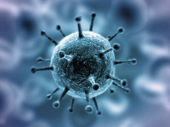 За последние сутки в Поморье выявлено 67 случаев коронавируса