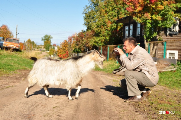 Пожарить шашлыки и покормить животных на ферме: где отдохнуть осенью в окрестностях Архангельска