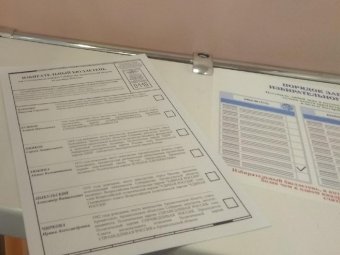 Exit poll: Александр Цыбульский уверенно побеждает на выборах губернатора Архангельской области