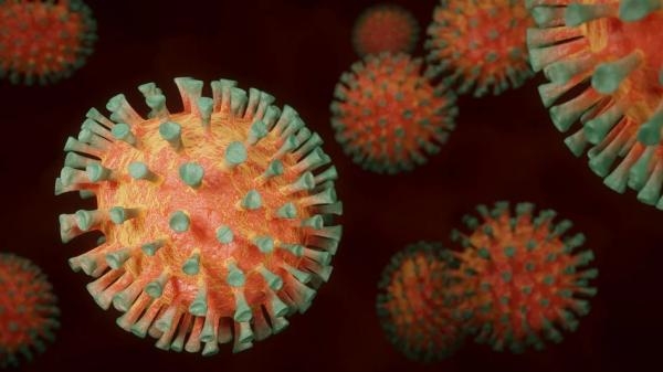 В Поморье зафиксирован резкий всплеск заболевших коронавирусной инфекцией