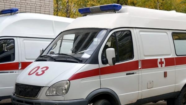 Водитель микроавтобуса погиб при столкновении с большегрузом на трассе в Поморье