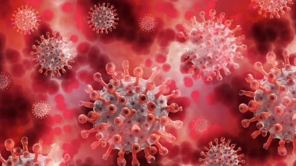 За сутки в Поморье коронавирус обнаружен у 147 человек