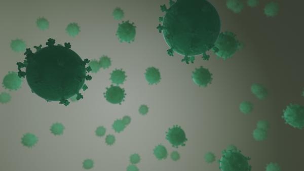 За последние сутки в Поморье подтвердили коронавирус еще у 141 человека