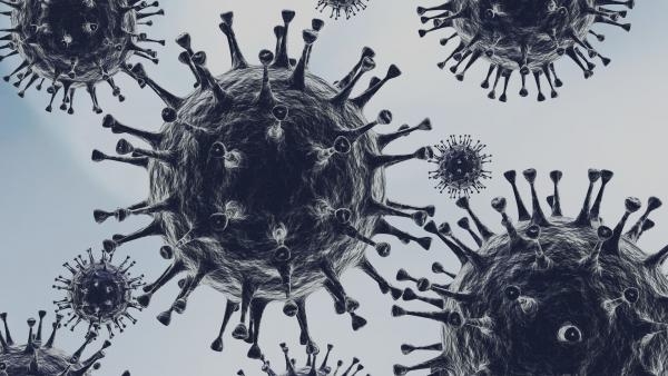 Вторые сутки подряд в России выявлено более 10 тысяч случаев коронавируса
