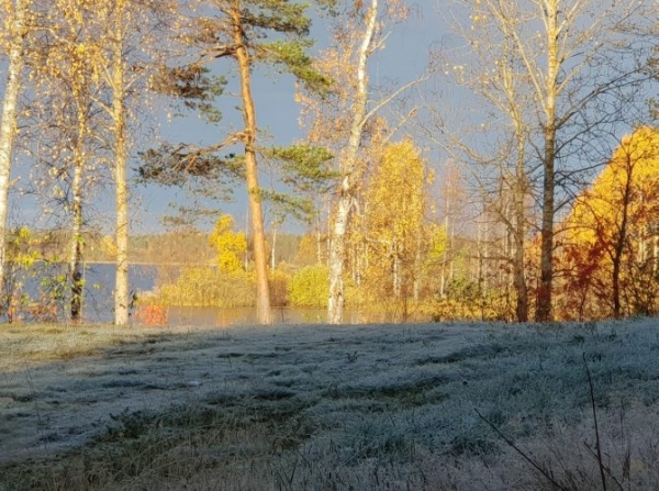 В Архангельскую область пришли первые красивые заморозки — фото