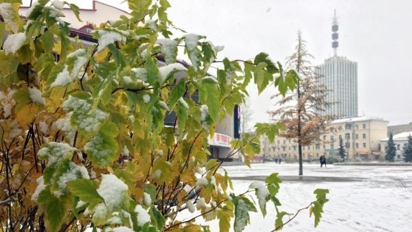 Первый снег и -1° по ночам: на текущей неделе в Архангельске начнутся заморозки