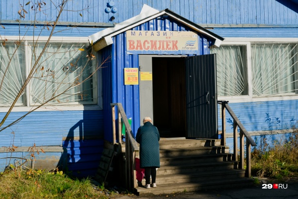 Как живут люди (и коты!) в бывшем лесном поселке Турдеевск на окраине Архангельска