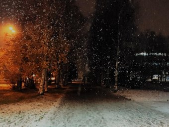 В Архангельск приходит «минус» и сильный снегопад: прогноз погоды на начало недели