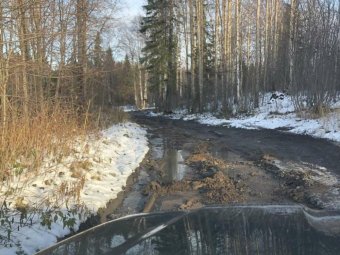 В Приморском районе дачников оставили без дороги на Новодвинск