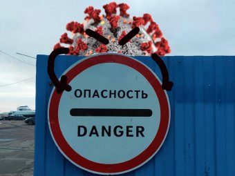 Кажется, коронавирус отступает из Архангельской области: за сутки +342 новых случая