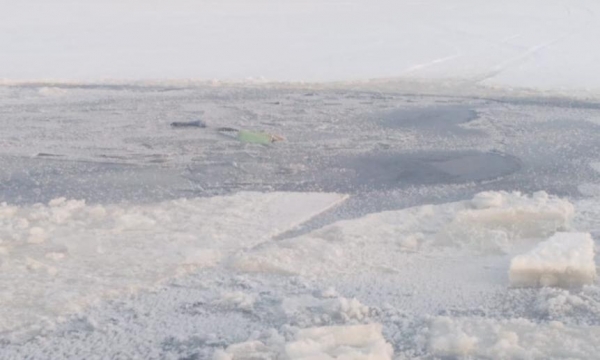 В Архангельске сотрудник Росгвардии спас рыбака, провалившегося под лёд