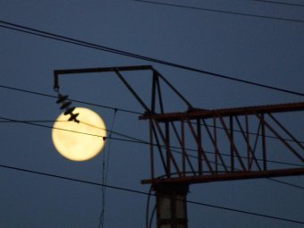 Центр Северодвинска останется без электричества в разгар рабочего дня. Водителей просят быть внимательней