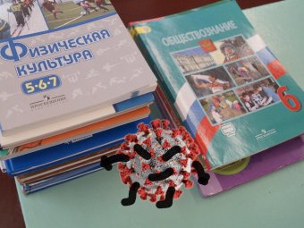 В Архангельской области из-за коронавируса закрыты 5 школ и 4 детских сада