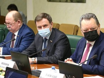 Сенатор от Поморья Новожилов потребовал тотального контроля на оборотом древесины