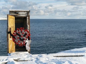Мороз короне не помеха: в Архангельской области ещё 372 человека подхватили коронавирус