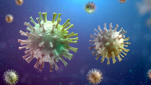 В Архангельской области третьи сутки более 400 человек заболевают коронавирусом