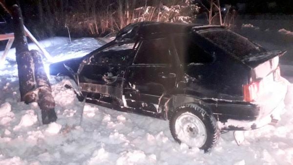 В Каргопольском районе водитель легковушки погиб при столкновении со столбом