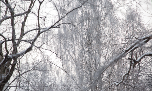 28 января в Архангельске похолодает до -7°С