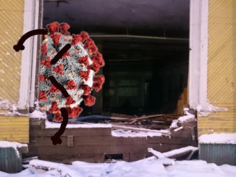 В Архангельской области за сутки ещё 238 человек подхватили COVID-19