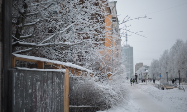 Мороз и солнце! 12 января в Архангельске похолодает до −30°С