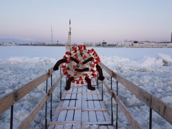 Отдыхаем дальше: в Архангельской области выявлено ещё 233 новых случая COVID-19