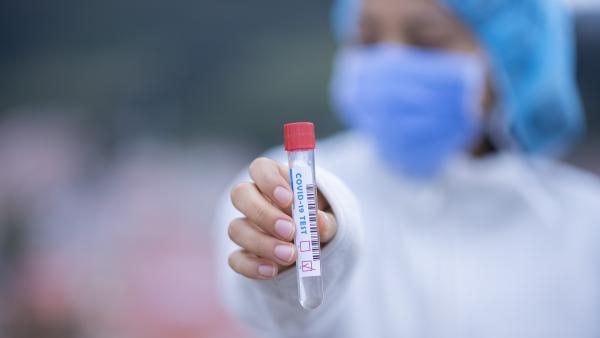 В Поморье за сутки выявили 233 новых случая коронавирусной инфекции