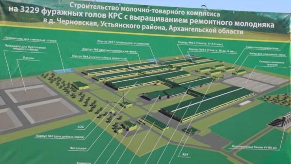 Около 4,5 млрд рублей инвестируют в животноводство Устьянского района