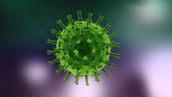 За сутки в Поморье выявлены 242 новых случая коронавируса