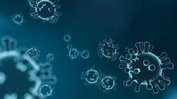 Динамика заболеваемости коронавирусом в Поморье демонстрирует стабильность