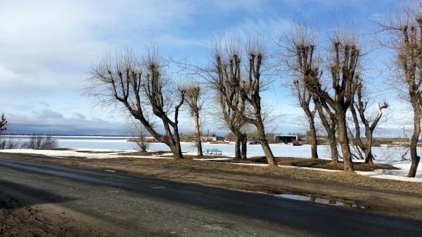 Аномальный холод в Архангельской области сменится резким потеплением