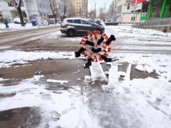 17 северян поправились, заболели ещё 81: хроники коронавируса в Архангельской области