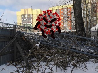 Балансируем: COVID-19 выявлен ещё у 95 жителей Архангельской области