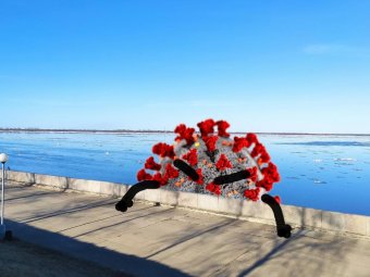 Вместе с холодным весенним ветром коронавирус проник в организмы 67 жителей Архангельской области