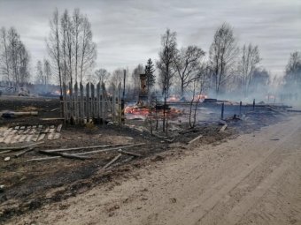 В Красноборском районе из-за пала травы сгорела целая деревня