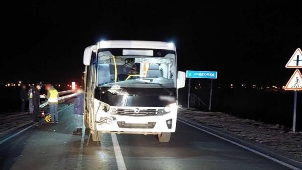 На федеральной трассе в Поморье водитель автобуса насмерть сбил пешехода-нарушителя