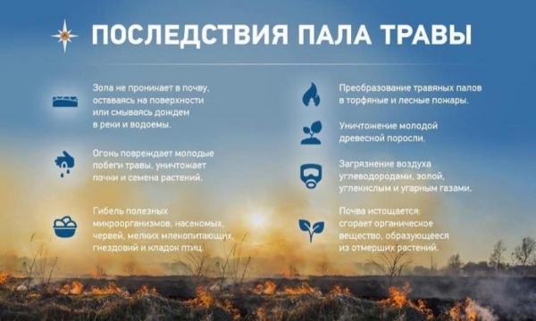 В Архангельской области зафиксировали первые поджоги сухой травы