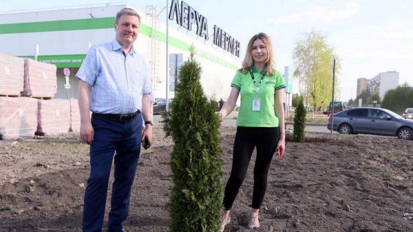 В Архангельске близ строительного гипермаркета появилась туевая аллея