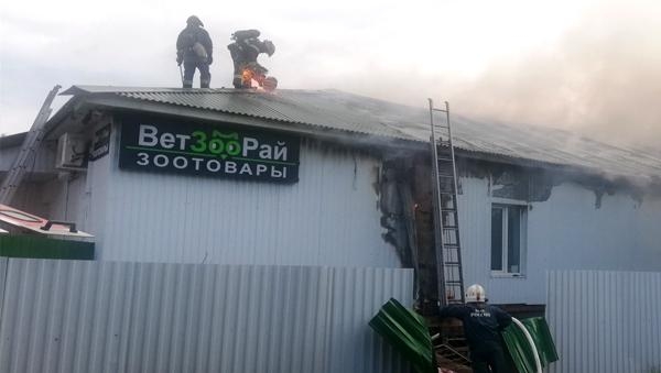 Кафе и зоомагазин под одной крышей горели ранним утром на окраине Архангельска