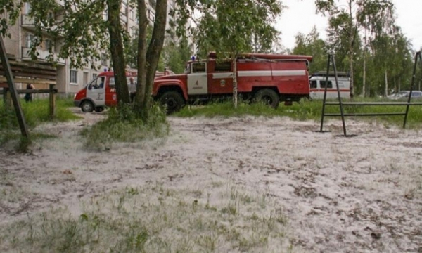 В Архангельской области происходят пожары из-за тополиного пуха